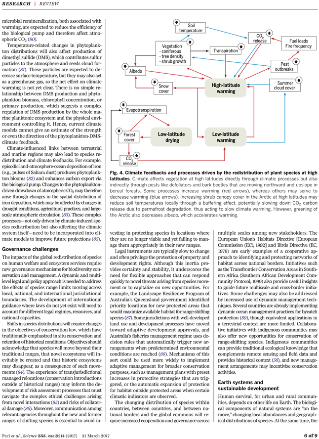 Folio Ten From Burchard Of Sion's De Locis Ac Mirabilibus (729x929), Png Download