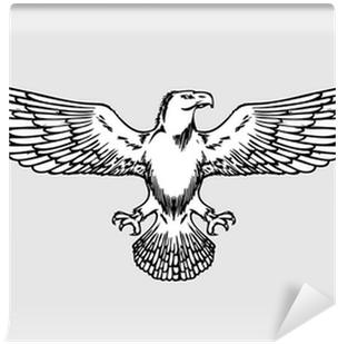 Bald Eagle Wings (400x400), Png Download