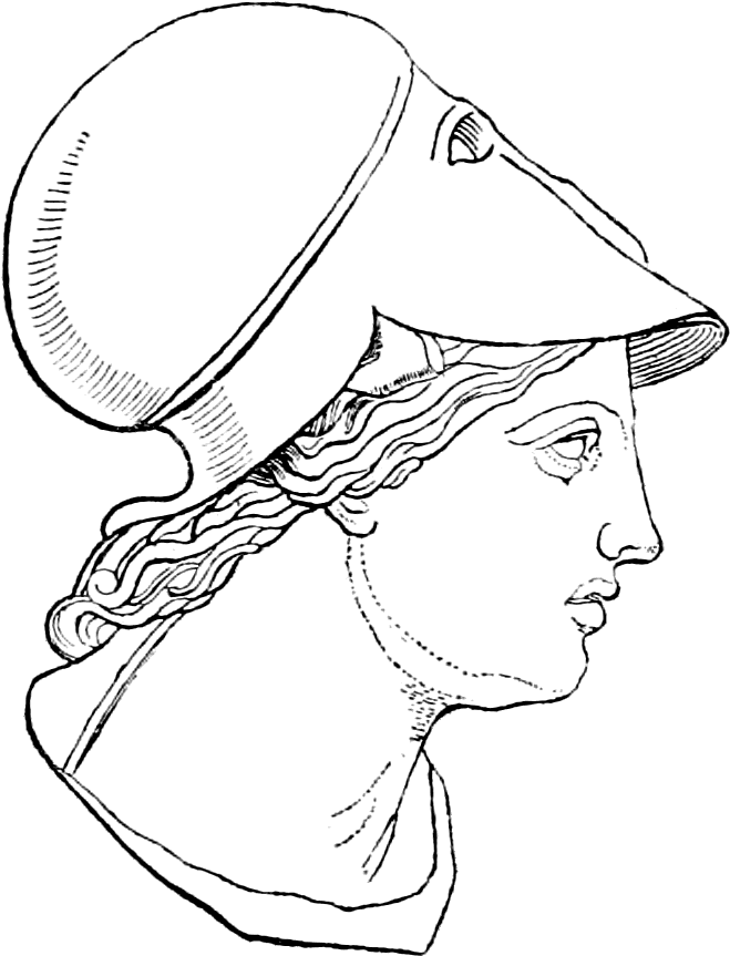 Athena Ri1 - Athena Head Png (724x916), Png Download