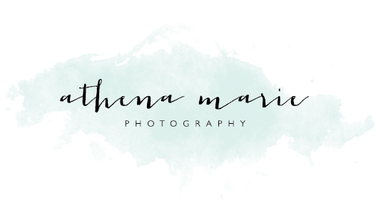 Athena Png (527x281), Png Download