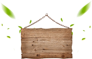 Plant Texture Png Images - Design (360x360), Png Download