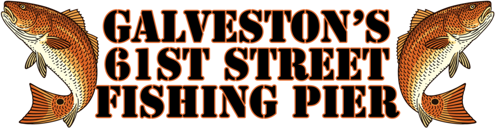 New Color Logo Pier With Stroke (1000x274), Png Download