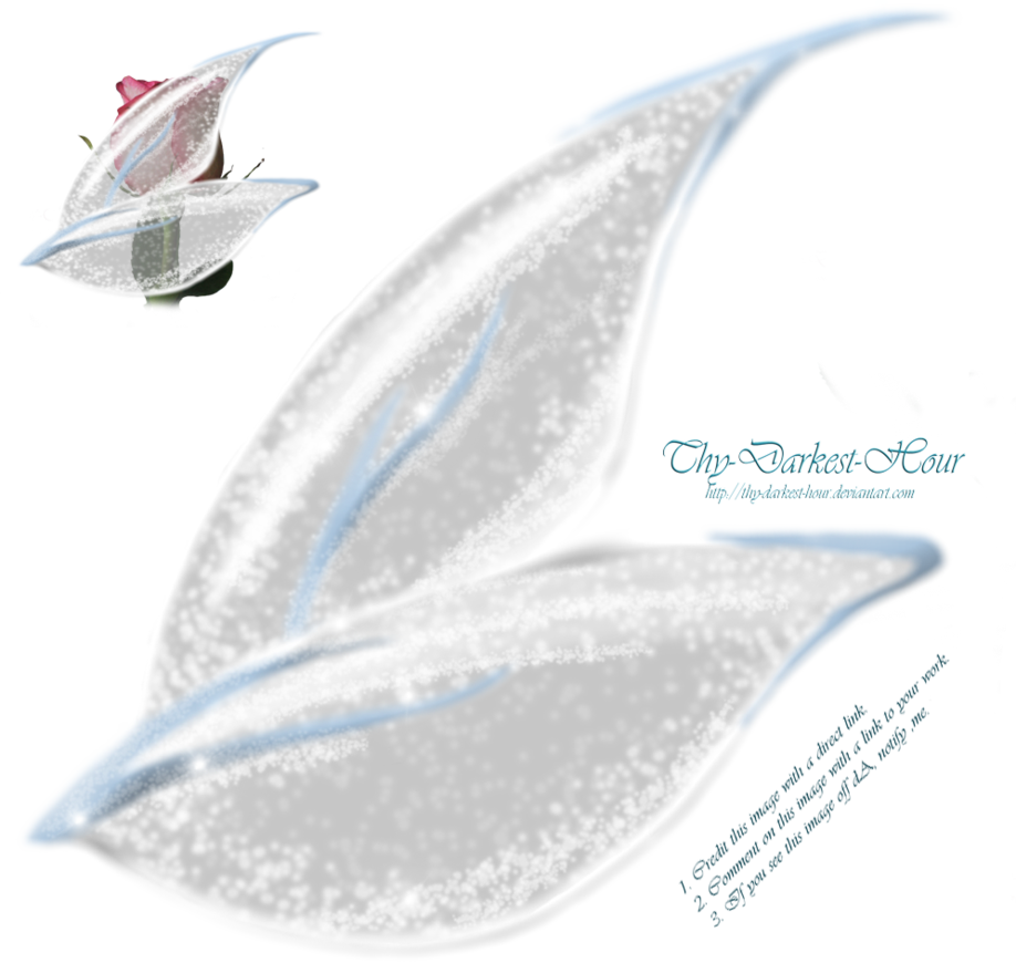 Fairy Wings Side View Png - Transparent Fairy Wings Photoshop (918x870), Png Download