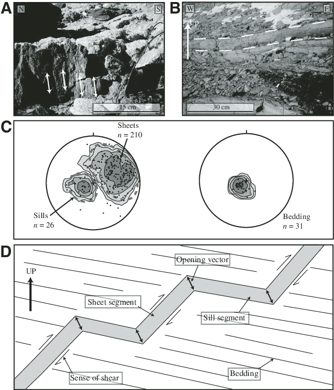 Double-sided Arrows Indicate The Orientation Of The - Sill (667x778), Png Download