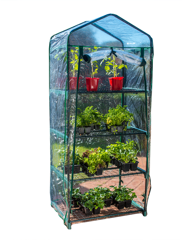 Holman 4 Tier Greenhouse With Misting Kit - Greenhouse Bunnings (800x800), Png Download