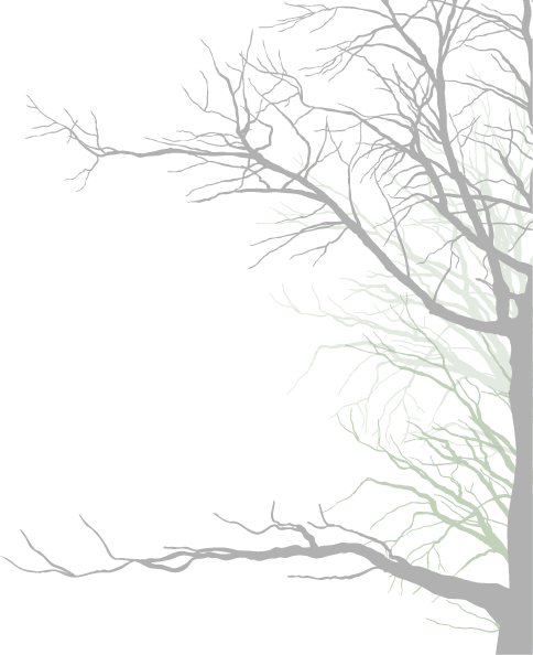 Halloween-tree - The Halloween Tree (484x594), Png Download