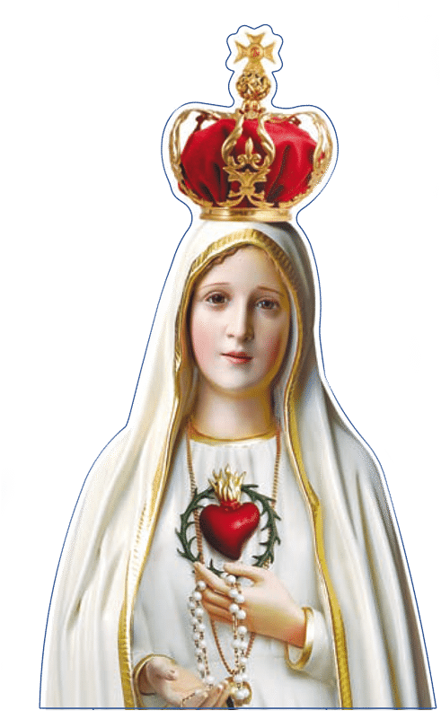 How We Desire That Our Lady Will Be In A Special Way - Mama Mary Of Fatima (521x800), Png Download