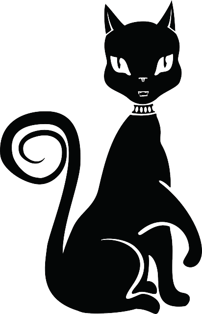 Cat, Black, Fancy, Pet, Animal, Tail, Collar - Dibujo De Gata Negra (412x640), Png Download
