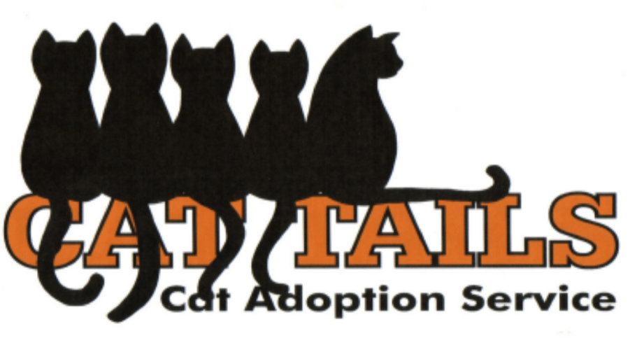 Cat Tails Cat Adoption Services, Inc - Cat (903x600), Png Download