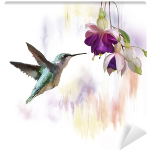 Hummingbird And Flowers Watercolor Wall Mural • Pixers® - Koliber Kwiaty (400x400), Png Download