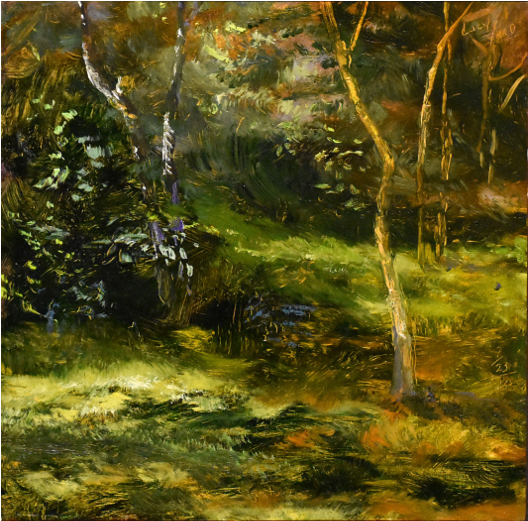 Image Not Available - Old-growth Forest (1064x520), Png Download