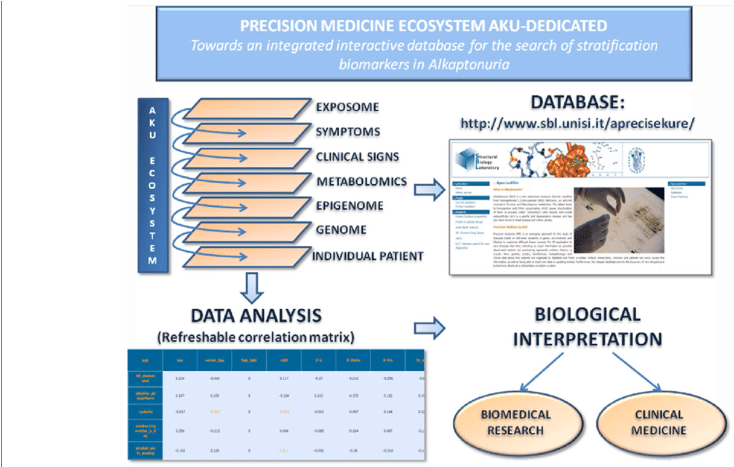 Aku-dedicated Precision Medicine Ecosystem - Information (850x466), Png Download