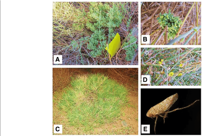 A & B - Shoot (850x458), Png Download