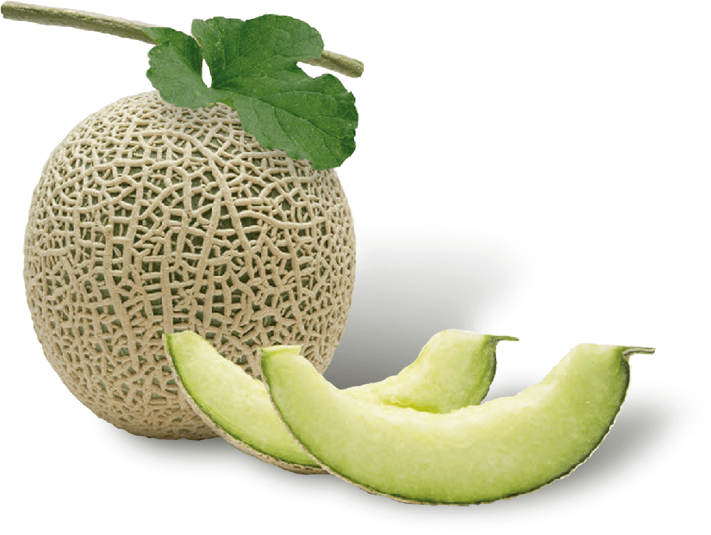 Musk Melon - 메론 (1785x1313), Png Download