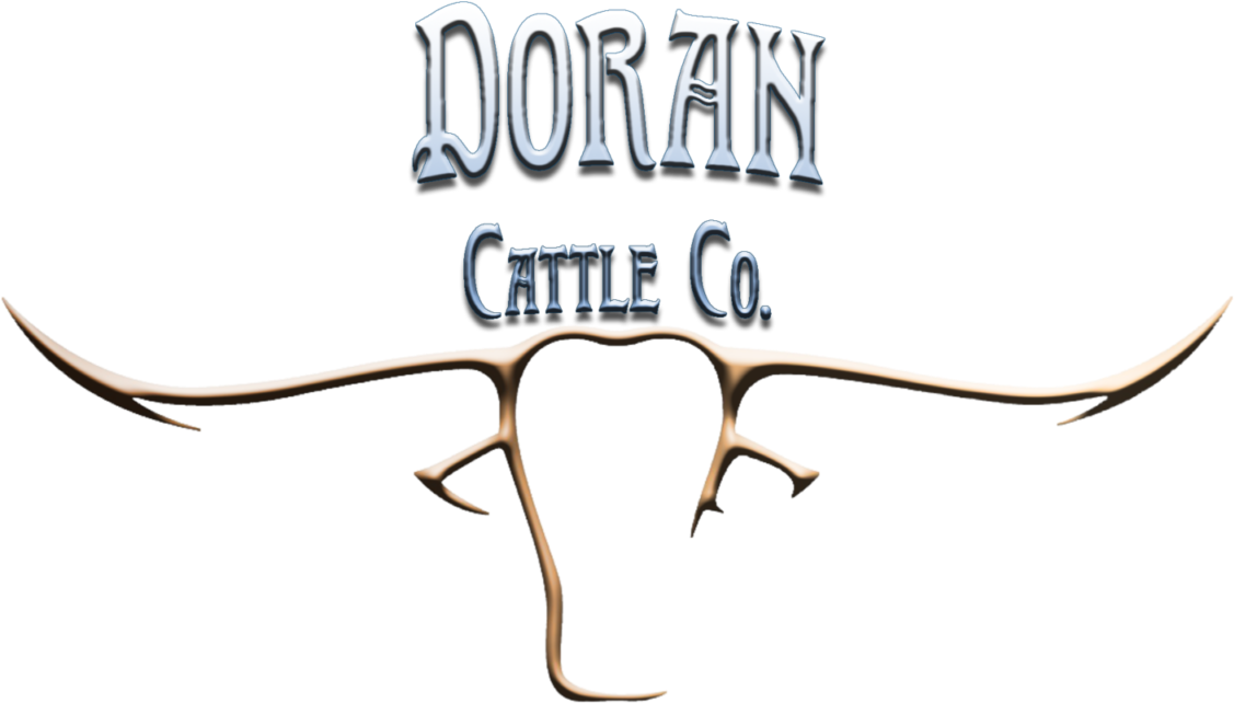 Blog Post Image - Texas Longhorn (1200x857), Png Download