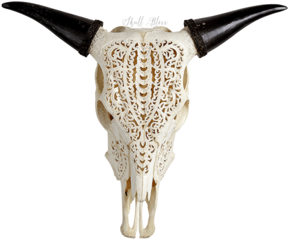 Carved Cow Skull - Cow Skull Tribal (430x430), Png Download
