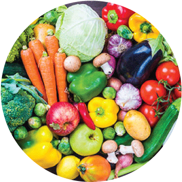 Cocina Vegetariana: Platos Saludables, Livianos Y Nutritivos (474x384), Png Download
