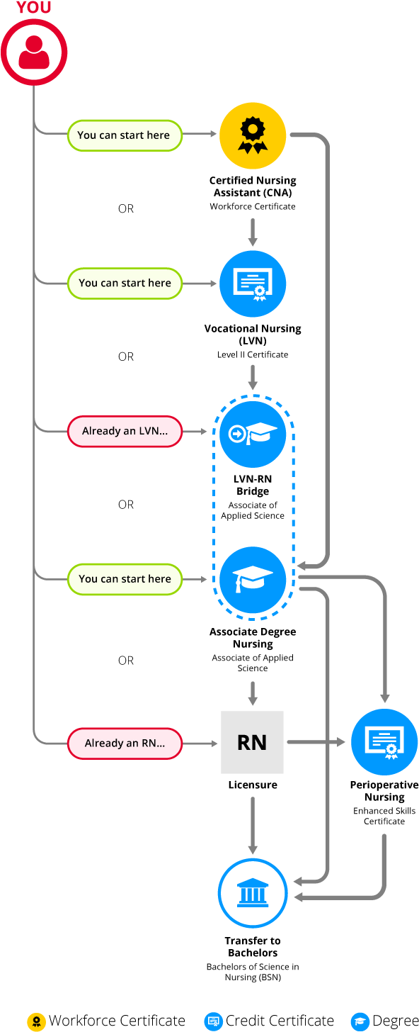 A Map Of The Nursing Pathways - Nursing (650x1497), Png Download