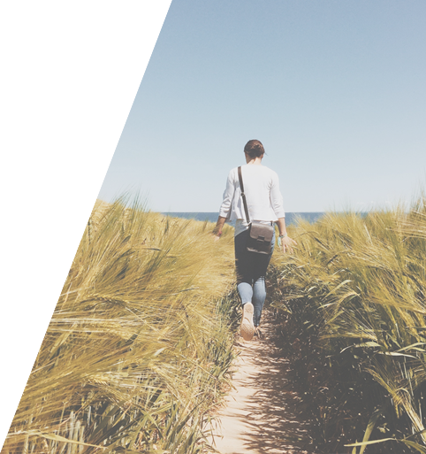 Pathway - Path To What You Want: A Transformational Program To (482x513), Png Download