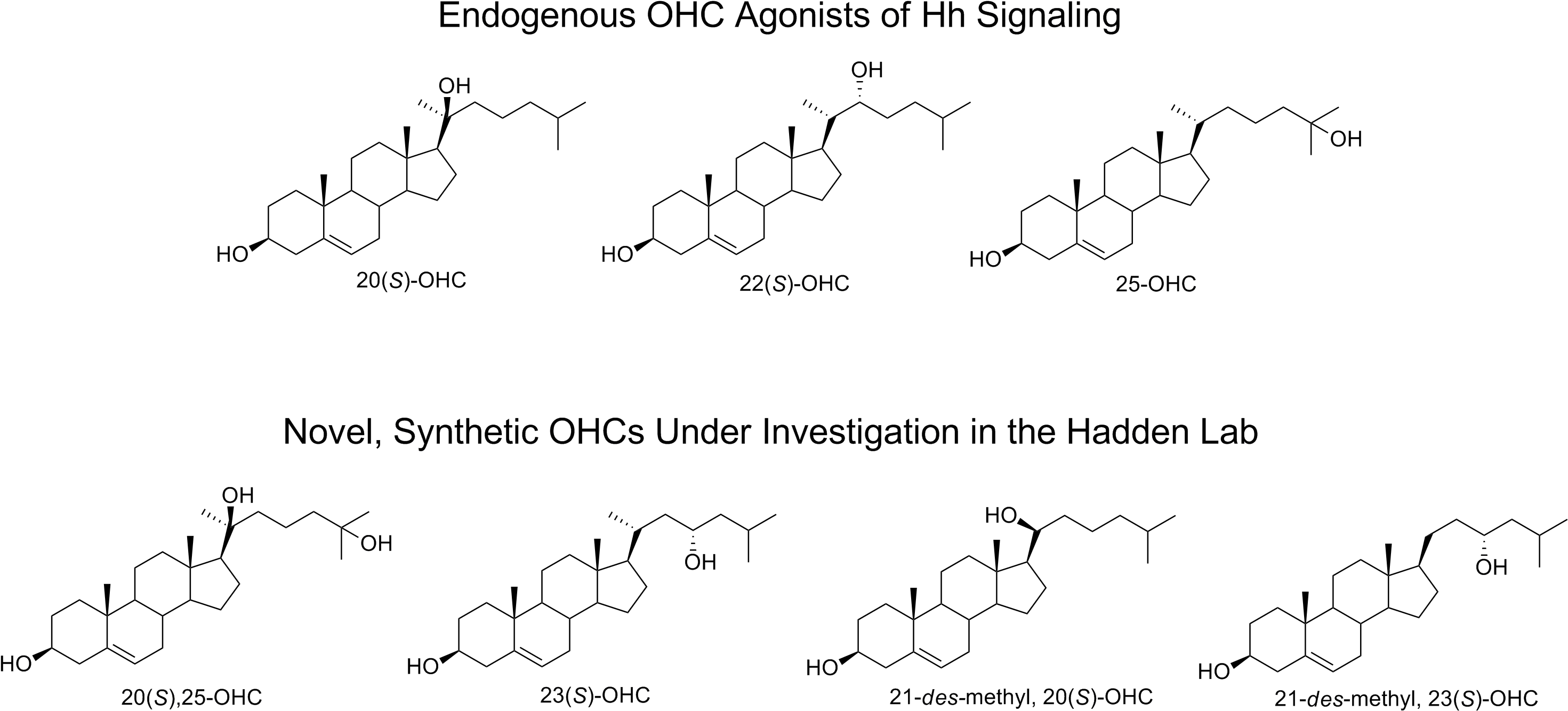 Diagram (2958x1359), Png Download