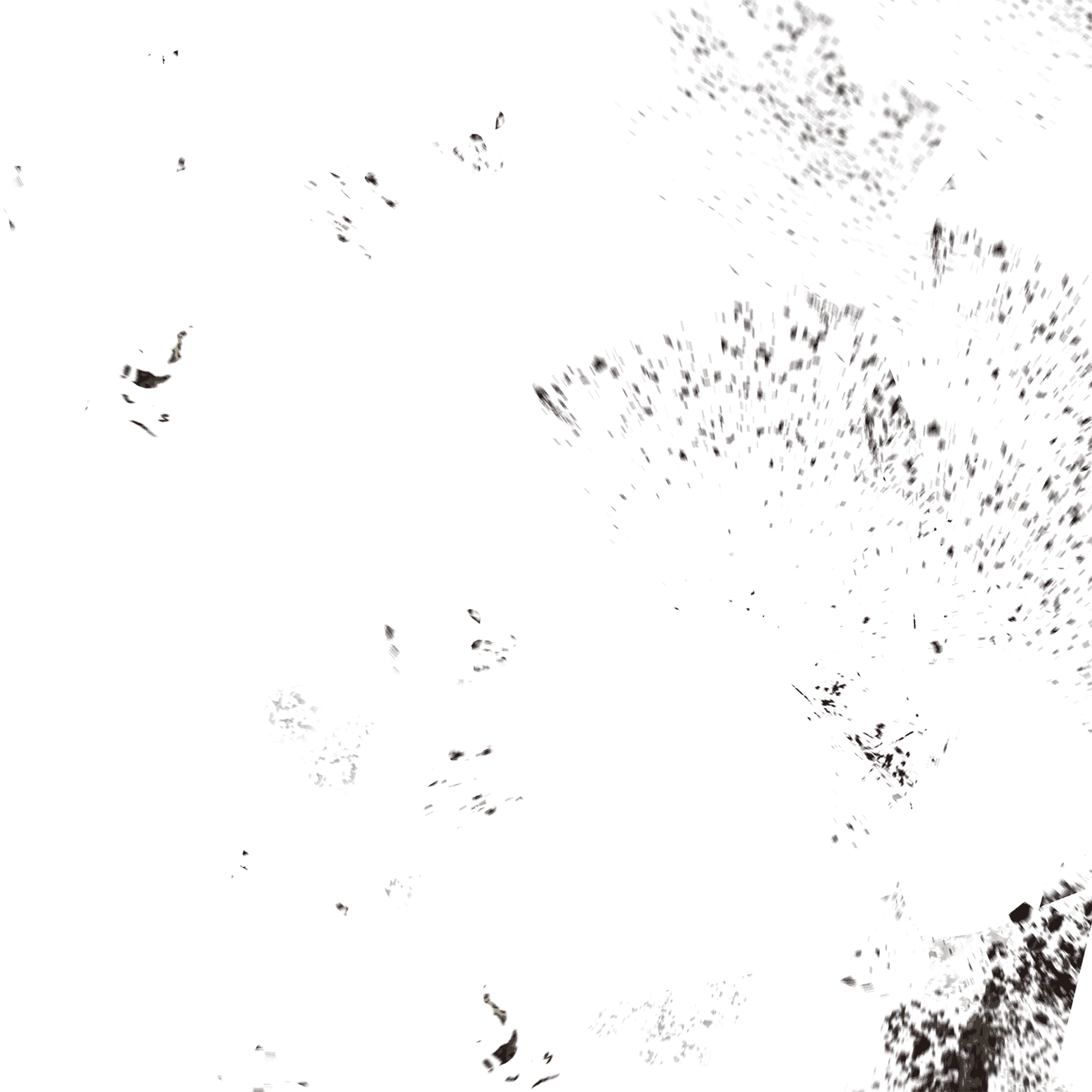 “a Rare Gem For Warhammer Fans - Bird (1556x1556), Png Download