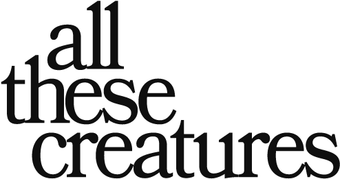 Trick-or-treating (500x272), Png Download