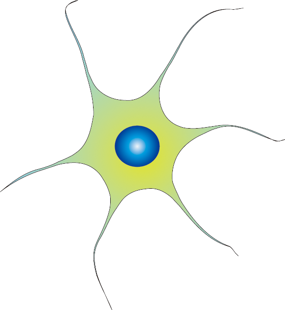 201102 Neuron - Circle (582x634), Png Download