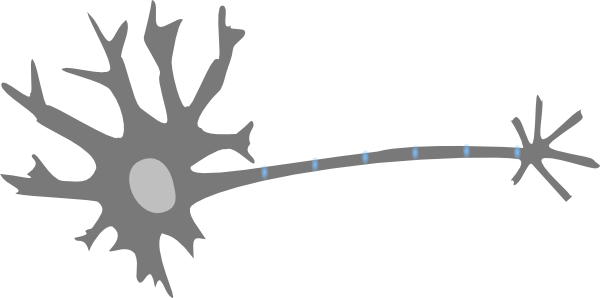 Small - Neuron Clipart (600x298), Png Download