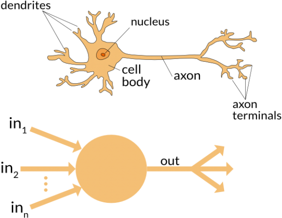 Neuron - Artificial Neural Network (768x480), Png Download