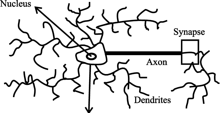 Basic Components Of A Neuron - Hummus Recipes By Laura Sommers 9781542617727 (paperback) (731x377), Png Download