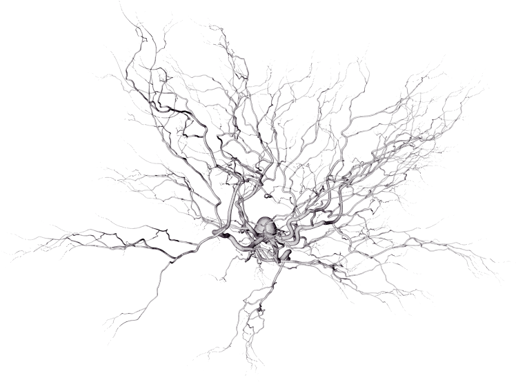 Scanning Electron Microscope (800x600), Png Download