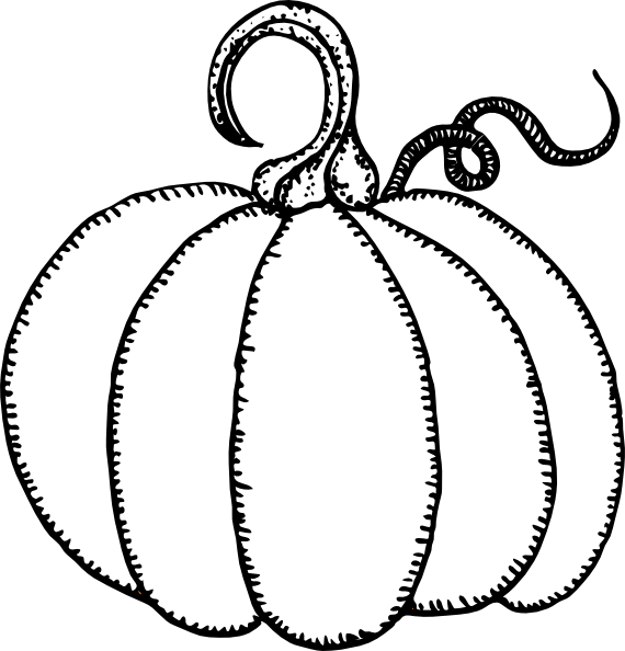 How To Set Use Pumpkin Outline Clipart (570x594), Png Download