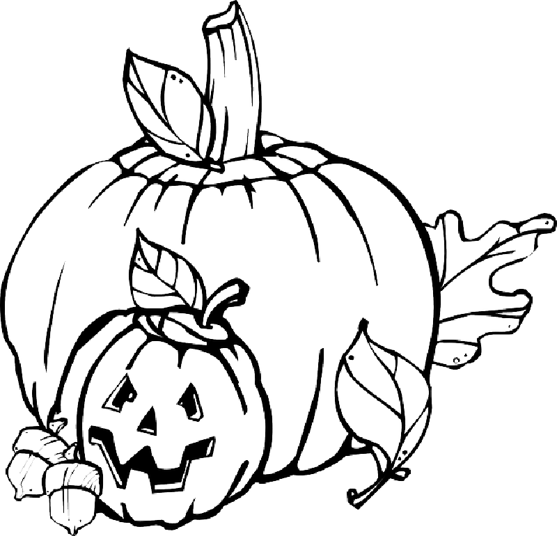 Fall, Pumpkin, Outline, Drawing, Jack, Leaf - Halloween Clipart Black And White (640x616), Png Download