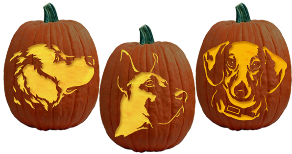 Be The Top Dog This Halloween With These Adorable, - Fairy Pumpkin Carving Ideas (700x395), Png Download