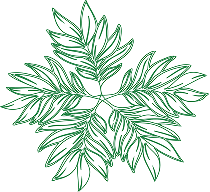 George Addaiv - Policy (420x385), Png Download