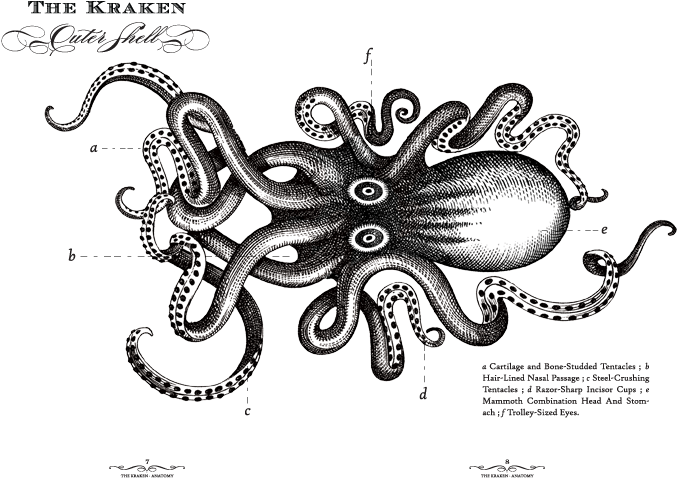 Svg Black And White Download Drawing Octopus Kraken - Kraken Rum Black Spiced 1l (720x504), Png Download