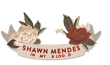 Support Shawn Mendes' New Single "in My Blood" By Adding - Picsart Photo Studio (400x400), Png Download