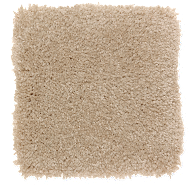 Mohawk Carpet Sandcastle - Lifeproof Best Wishes I - Color Canyon Textured 12 (400x400), Png Download
