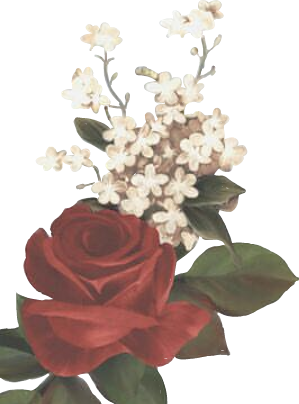 Report Abuse - Pain But I Won T Let It Turn Into Hate (299x404), Png Download