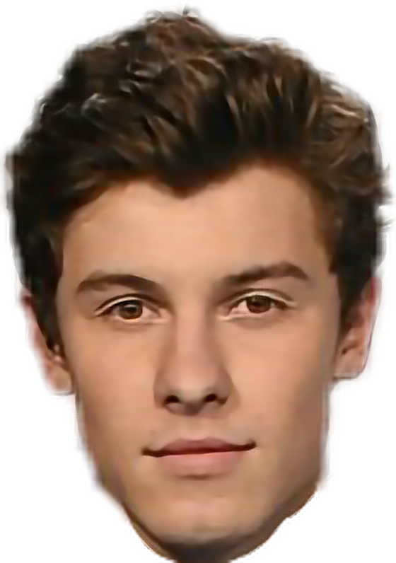 Report Abuse - Shawn Mendes Head Png (560x796), Png Download