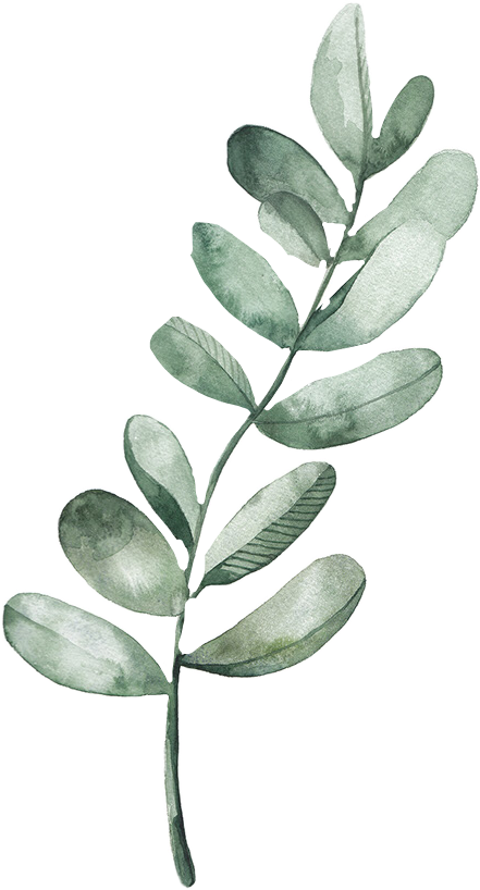 Report Abuse - Leaf Watercolour (441x818), Png Download