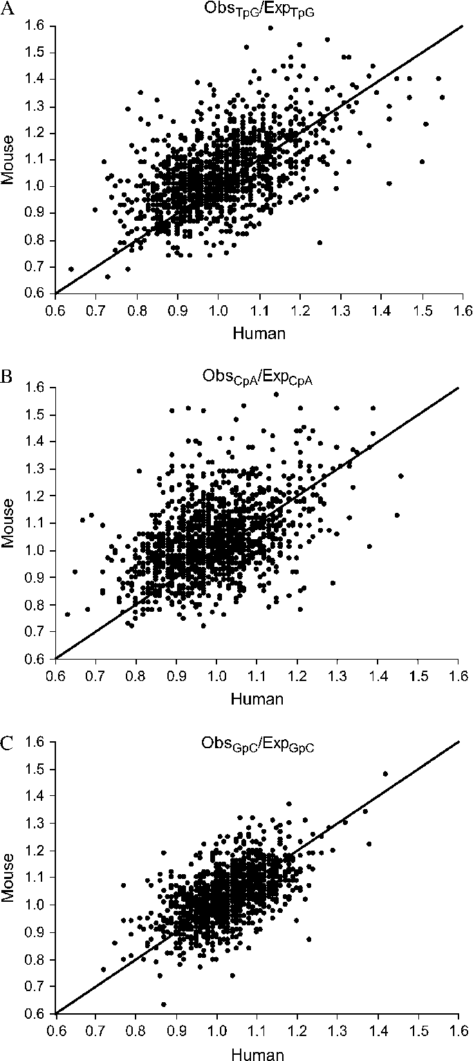Obs/exp Ratios For Tpg, Cpa, And Gpc Dinucleotides - Diagram (684x1533), Png Download