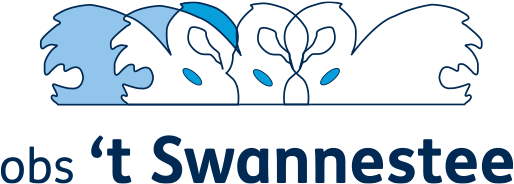 Obs T Swannestee (560x320), Png Download