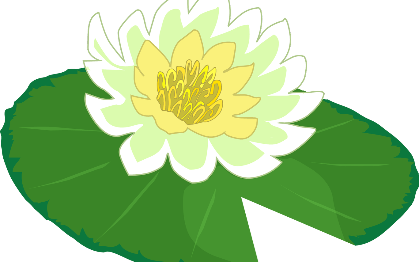 White Flower Water Lily Clipart The Cliparts Png Clipartix - Lily Pad Clip Art (1368x855), Png Download