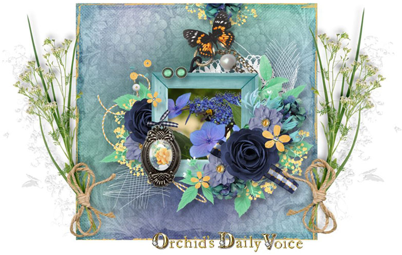 Hydrangea, Water Lily From City Park And Birds - Garden Roses (855x510), Png Download