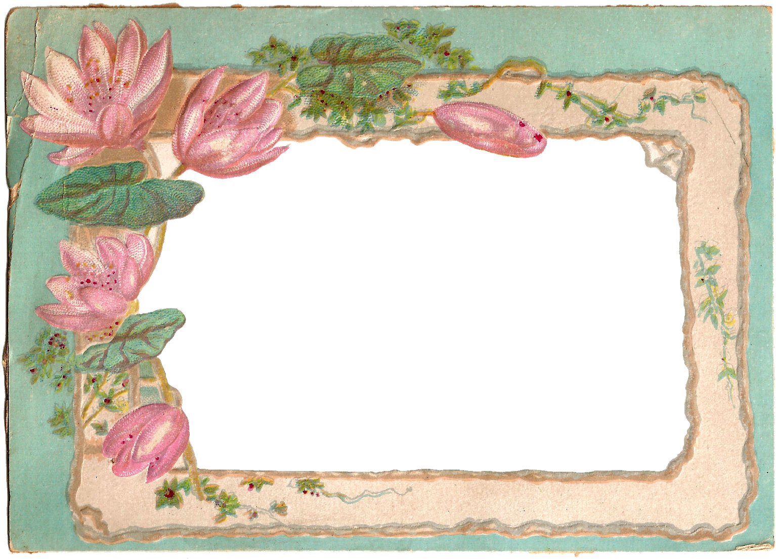 I Created This Digital Frame From A Vintage Postcard - Water Lily Frame Png (1600x1156), Png Download