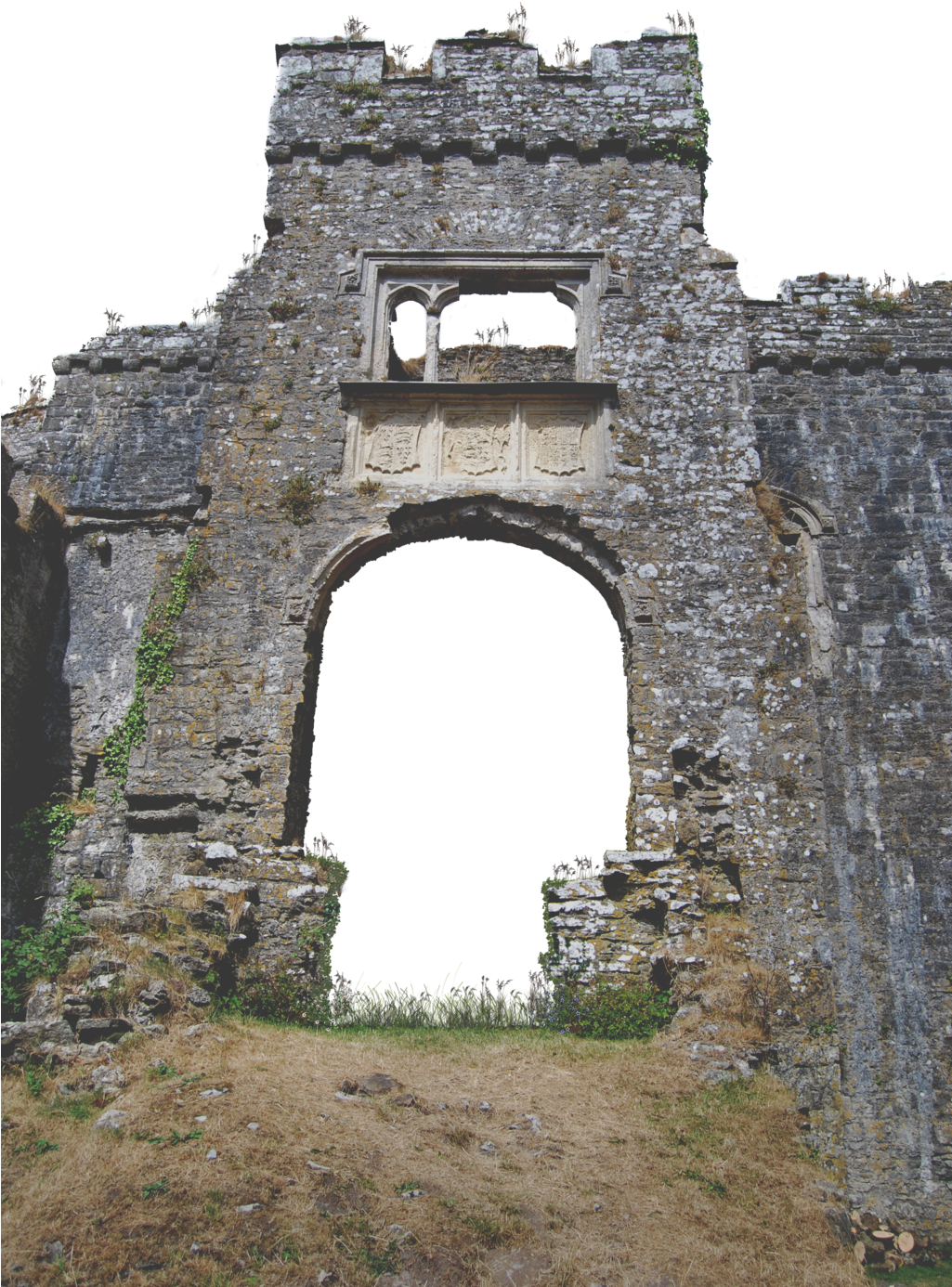 Ruin Png Pic - Carew Castle (1024x1530), Png Download