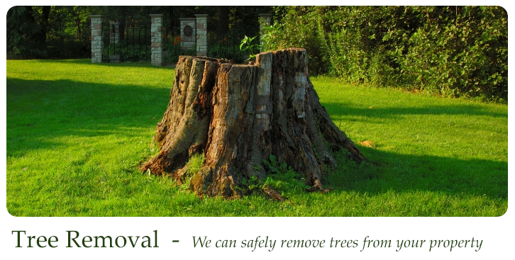 Green Scene Irrigation & Landscaping (726x367), Png Download