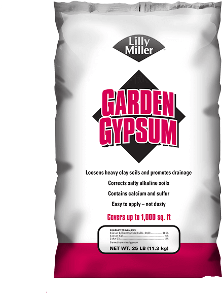 Lilly Miller Garden Gypsum - Gypsum Lilly Miller (600x600), Png Download