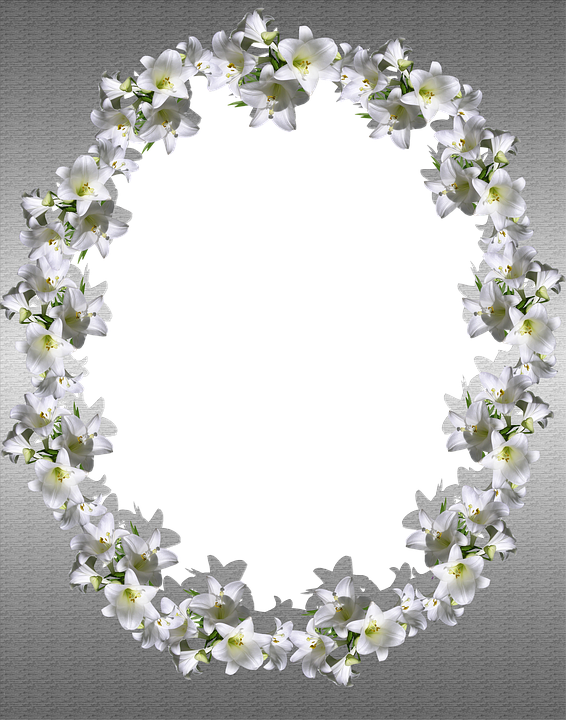 Frame, Silver, Floral, Decoration, Design - ่ Jasmine Frame Png (566x720), Png Download